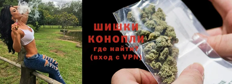 наркотики  ссылка на мегу онион  Бошки марихуана White Widow  Елизово 